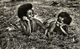 New Guinea, Two Young Papua Girls At Rest (1950s) Mission RPPC - Océanie