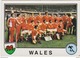PANINI SPORT SUPERSTARS 1982 RUGBY 2 IMAGES FRANCE WALES - Edition Française