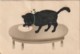 JA 27- CHAT VELOURS NOIR LAPANT DANS UNE ASSIETTE - 2 SCANS - Cats