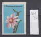 57K264 / # 11 -  Rhipsalidopsis Rosea  , Flowers Fleurs Blumen , Boite D'Allumette Matchbox Label , Soviet Union Russia - Boites D'allumettes - Etiquettes