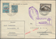 Delcampe - Zeppelinpost Europa: Collection Of Over 110 Zeppelin Items, Mostly Flown Covers With A Large Number - Europe (Other)