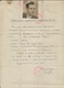 Delcampe - Thematik: Judaika / Judaism: 1944/1945, Sweden/Hungary, Group Of 5 Protecting Passports Respectively - Sin Clasificación