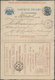 Delcampe - Russland - Ganzsachen: 1898/1901, CHARITY LETTER-SHEETS OF RUSSIAN EMPIRE, Extraordinary Collection - Stamped Stationery