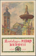 Delcampe - Ansichtskarten: Propaganda: Collection Of Ca. 235 Propaganda Postcards With Many Better, Such As Ear - Parteien & Wahlen