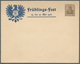 Delcampe - Deutsches Reich - Privatganzsachen: 1900/1923, Ca. 140 Ungebrauchte Und Gebrauchte Privatganzsachen- - Other & Unclassified