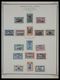 Delcampe - Deutsch-Ostafrika: 1893-1918: Mostly Mint Hinged Collection German East Africa  1893-1918 On Albumpa - German East Africa