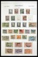 Deutsche Abstimmungsgebiete: 1919-1920: Specialised, MNH, Mint Hinged And Used Collection German Ter - Sonstige & Ohne Zuordnung