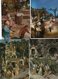 Delcampe - Lot De 24 Cartes Postales Modernes - Divers Thèmes - 6 Scan. - 5 - 99 Postcards