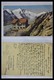 Kriegsgefangenen-Lagerpost: Fantastic Lot Of Over 1000 Covers And Cards, Prisoner Of War, Red Cross, - Other & Unclassified