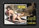 PIN UPS - HUMOUR - ANIMALS - WE ALLIGATORS DO HAVE FUN IN FLORIDA - NICE GIRL NEAR BEACH - BY PLASTICHROME - Pin-Ups