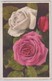 Rosa Indica Hybrida - Thor E Gyger - Bloemen