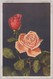 Roses - Stfz N.375 - Fiori