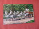 Armour's World Famous Horse Team  As Is Crease   Ref 3158 - Advertising