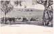 Australia. A Station Homestead, NSW. Undivided Back - Other & Unclassified