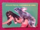 CALENDARIO DE BOLSILLO CALENDAR HUMOR HUMOUR EROTIC ÉROTIQUE ERÓTICO RABBIT LAPIN LIÈVRE HARE HASE LIEBRE CONEJO 2005 VE - Tamaño Pequeño : 2001-...