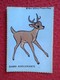 SPAIN ESPAGNE.ANTIGUO OLD CROMO ESTAMPA WALT DISNEY PRODUCTIONS COLLECTIBLE CARD CARICATURA CARTOON BAMBI ADOLESCENTE VE - Otros & Sin Clasificación