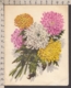 93511GF/ FLEURS, Illustrateur V. HANCKE, Carte Pop Up, Chrysantèmes - Flowers