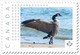 CANADA GOOSE = Waterfowl = Bird = Picture Postage MNH-VF Canada 2019 [p19-01s16] - Gänsevögel