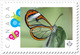 CLEAR WINGS BUTTERFLY = Insects = Picture Postage MNH-VF Canada 2019 [p19-01s25] - Papillons