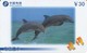 CHINA. CSTC(2001-2-4-3). DELFINES - DOLPHINS. (606) - Dolphins