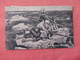 RPPC  On Iceberg  Slovensko Stamps   Stamp --. Ref 3159 - Europe