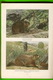 BOOKS - NATIONAL GEOGRAPHIC SOCIETY - WILD ANIMALS OF NORTH AMERICA BY EDWARD W. NELSON, 1918 - 612 PAGES - - Animales