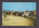 Deauville.14.Calvados. Le Poney Club . Ecole De Tenue A Cheval .. Courses De Chevaux. - Hippisme