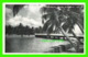 MIAMI BEACH, FL - VENETIAN WAY BRIDGE UNDER PLAMS - KROMEKOTE  POST CARDS - - Miami Beach