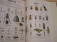 Delcampe - DEYROLLE Learning For The Future Louis Albert De Broglie Planches Deyrolle Zoology Botany Story Physics Flowers Animal - Culture