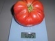 30 Graines Tomates RUSSE BIO - Autres & Non Classés