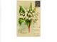 TRES BELLE FANTAISIE GAUFREE ,MUGUET ,SOUVENIR DE PRINTEMPS A VOIR !!!REF 58938A - Fiori