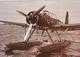 PHOTO AVION HYDRAVION ARADO AR196 PATROUILLE MARITIME SUR LES COTE PAS DE CALAIS 12X8CM - 1946-....: Modern Era