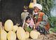 Afghanistan - Marché Kunduz: Old Melon Vendor (vieux Marchand De Melons) - Photo Wakili - Asie