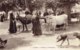 Cpa Scènes Et Types Des Pyrénées,le Marché. - Märkte