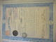Certificat Provisoire De 25 Actions Preferred / Petroleum Revenues  Company/1914   ACT227 - Petrolio