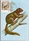 Mozambique & Postal Stationery, Mammals Of Mozambique, Squirrel, Paraxerus Vincenti, Hayman 1983 (1950) - Mozambico