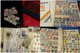 Carton With Stamps In Albums From Estate. Many Stamps Are In MNH ** Condition. All As Schown, But Not All Has Been Pics - Vrac (min 1000 Timbres)