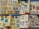 Delcampe - Carton With Stamps In Albums From Estate. Many Stamps Are In MNH ** Condition. All As Schown, But Not All Has Been Pics - Vrac (min 1000 Timbres)