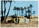 #657  Bedouin Camp In The Sahara Desert, South ALGERIA, North Africa - Postcard - Afrique