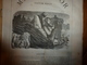 MARIE TUDOR -La Esmeralda ,par Victor Hugo -18 Dessins Par Foulquier,G. Séguin Et Riou - Edition J. Hetzel (ill Beaucé) - Auteurs Français