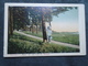 ARENSBURG ESTONIA - KURESSAARE - STRAND - TRAVELLED 1917 - Estonia