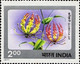 USED STAMPS India - Indian Flowers	 -  1977 - Used Stamps