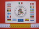 A.08 ITALIA ANNULLO - 2003 BORGOSESIA VERCELLI 1 CONVEGNO CARNEVALI D' EUROPA MASCHERA FESTA CARD BANDIERE - Carnevale