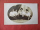 4 Females Dressed Like     RPPC     Ref 3162 - Fashion