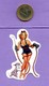 3 AUTOCOLLANT  STICKER PIN UP GIRL    S129 - Autocollants