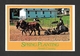 PENNSYLVANIA - AMISH COUNTRY - SPRING PLANTING TOBACCO PLANTING - Other & Unclassified