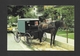 PENNSYLVANIA - AMISH COUNTRY - AN ANISH CARRIAGE TIED TO A HITCHING POST OUTSIDE ONE OF THE BUSINESS PLACES - Other & Unclassified