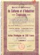 Société Générale De Cultures Et D'Industries Tropicales Bruxelles 1924 Action Privilégiée De 250 Fr - Agriculture