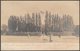 The Maze In The Park, C.1905-10 - Russell RP Postcard - To Identify