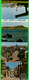 SAINT-PIERRE-ET-MIQUELON - FOLDER DE 10 MINI-PHOTOS - EDITIONS S.E.P.T. - - Saint-Pierre-et-Miquelon